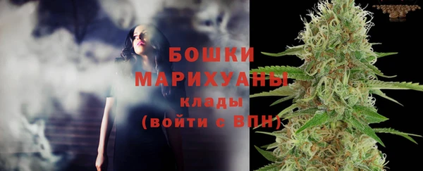 гидропоника Няндома