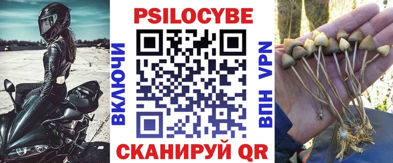 Псилоцибиновые грибы GOLDEN TEACHER  Шуя 